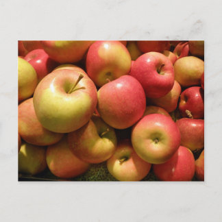 Pennsylvania Apples Postcard
