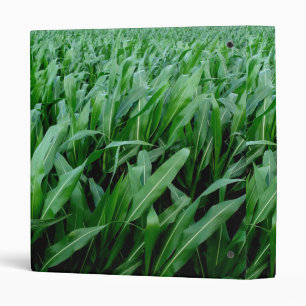 Pennsylvania Corn Binder