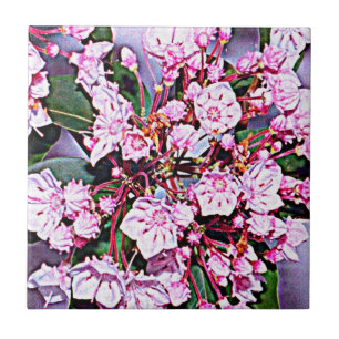 Pennsylvania Mountain Laurel Tile