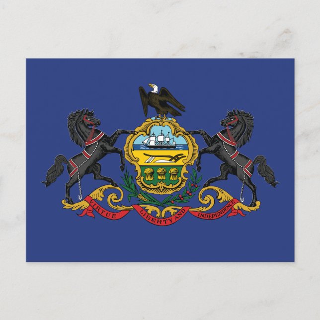 Pennsylvania State Flag Horses  Postcard (Front)