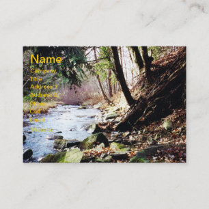 Pennsylvania Stream 02 Carte de visite