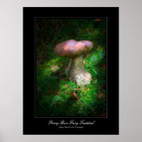 Penny Bun Fairy Toadstool galerie poster