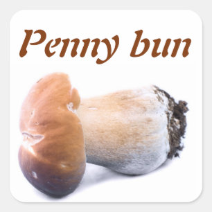 Penny bun square sticker