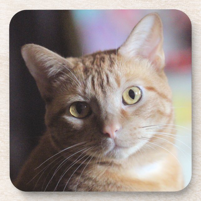 Penny  coaster (Front)