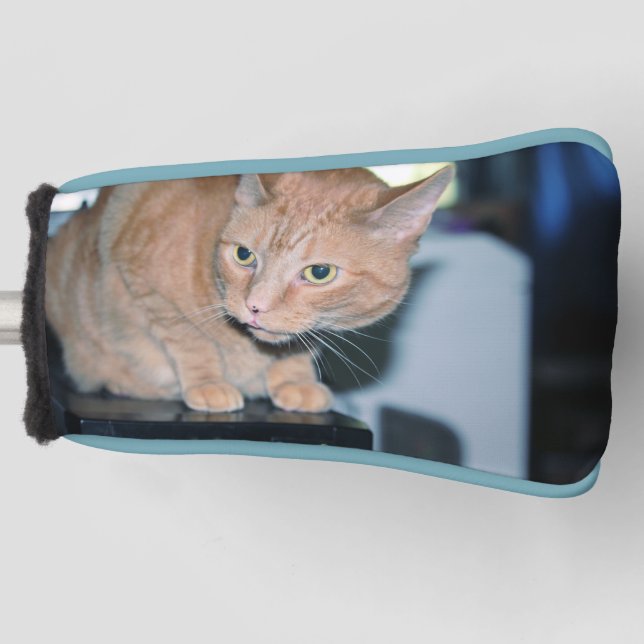 Penny Golf Head Cover (Front)