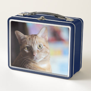 Penny Metal Lunch Box