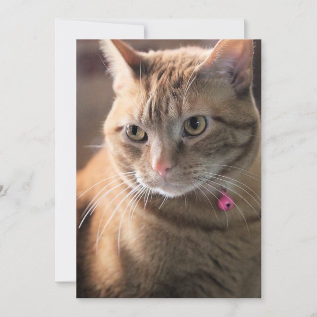 Penny pensive holiday card (Front)