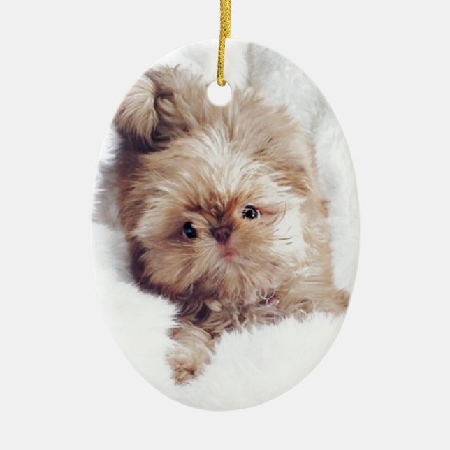Penny the orange liver Shih Tzu on Cloud 9 Ceramic Ornament (Front)