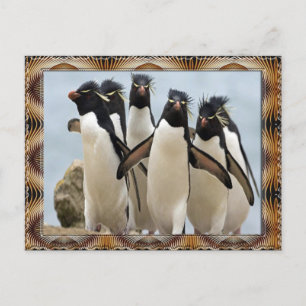 Penquin Walking Postcard