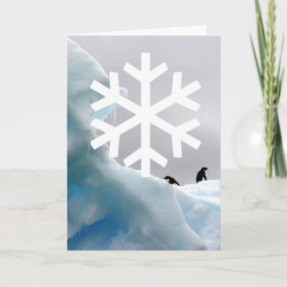 Penquins Holiday Card