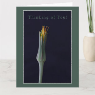Pense à toi ! Carte de voeux florale personnalisée