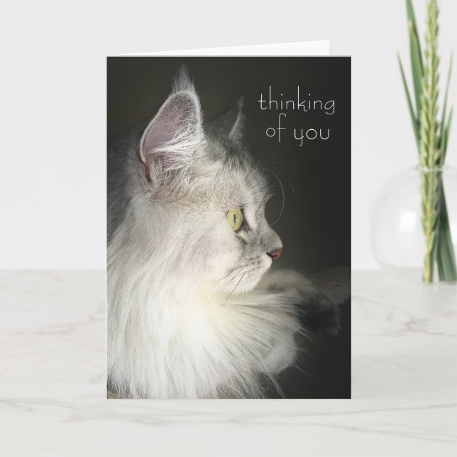 Pensée à vous carte comportant le chat sibérien (Devant)