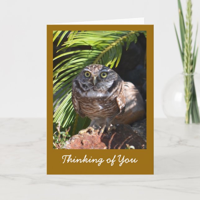 Pensée à vous carte de voeux avec le hibou (Devant)