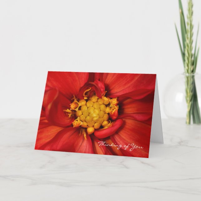 Pensée à vous carte de voeux orange de dahlia (Devant)
