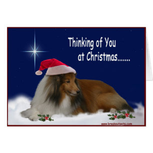 Pensée à vous cartes pour notes de Sheltie