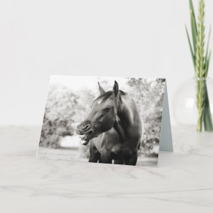 Pensée drôle de vous carte de cheval