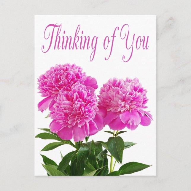 Pensée Florale de vous rose Peony carte postale (Devant)