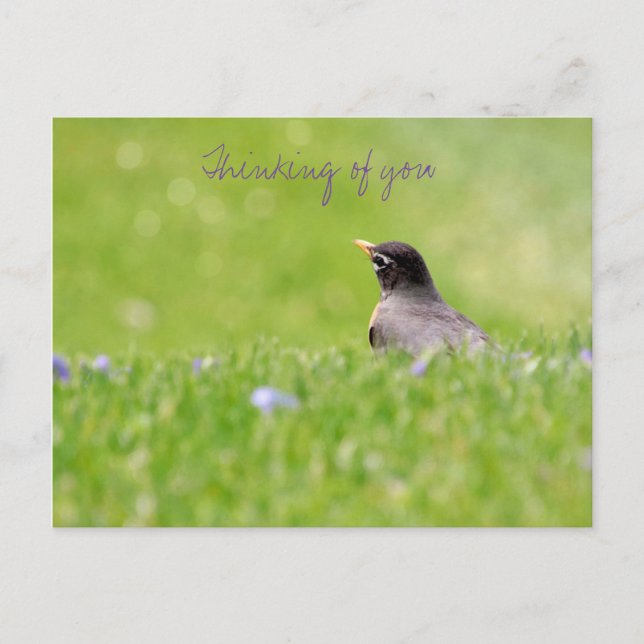 Pensées de vous Carte postale  (Devant)