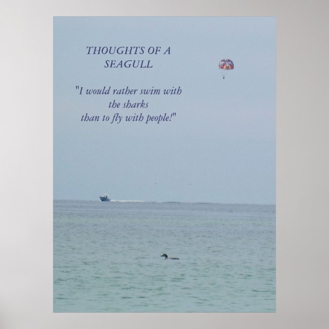 Pensées d'un Poster de Mouette 2 (Devant)