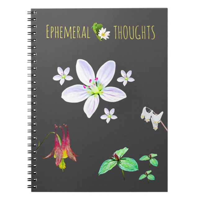 Pensées éphémères Carnet vide (Devant)