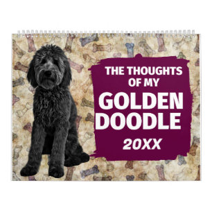 Pensées hilarantes de mon calendrier Goldendoodle