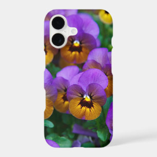 Pensées violettes et dorées