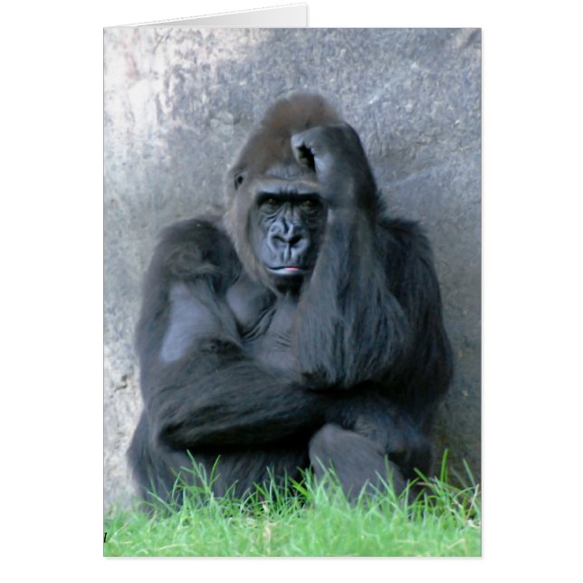 Penser (Devant)