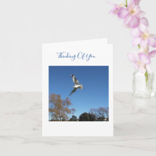 Penser à ta carte de sympathie