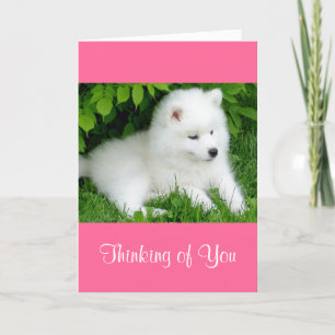 Penser à toi Blanc Samoyed Chien Chien rose Carte