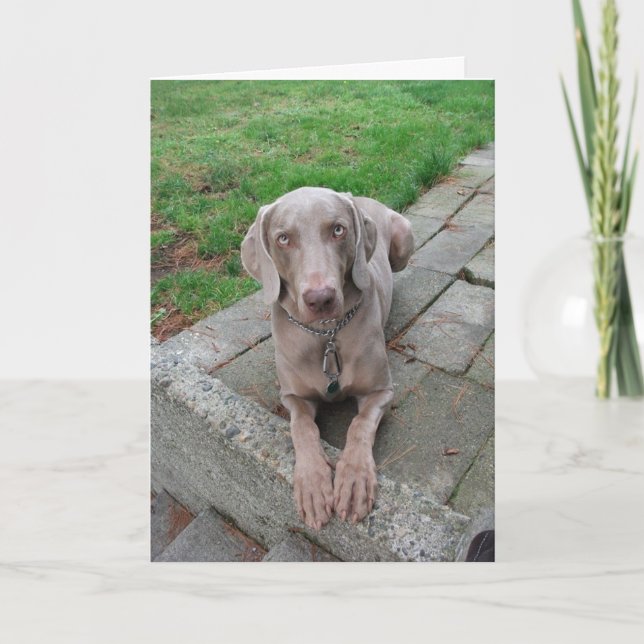 Penser à votre carte (Devant)