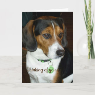 Penser à votre carte Beagle