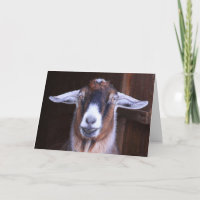 Penser à votre carte de voeux de chèvre