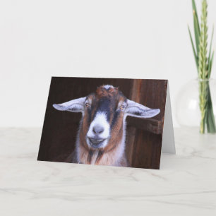 Penser à votre carte de voeux de chèvre