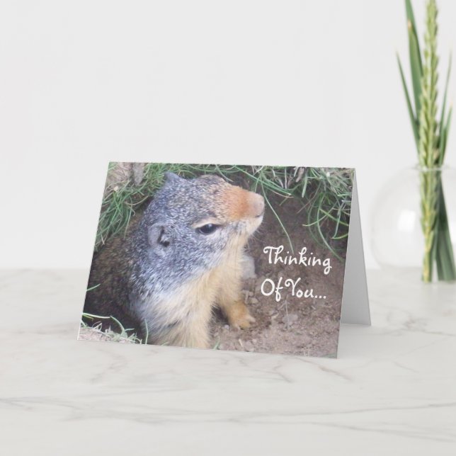 Penser À Votre Carte Groundhog (Devant)