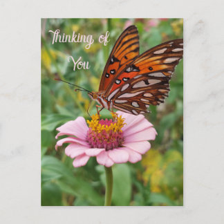 Penser à votre carte postale papillon