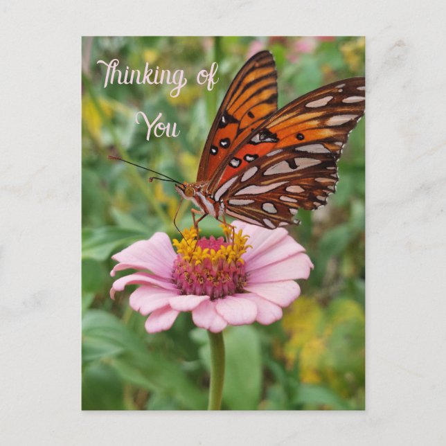 Penser à votre carte postale papillon (Devant)