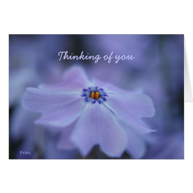 penser à vous (Devant Horizontal)