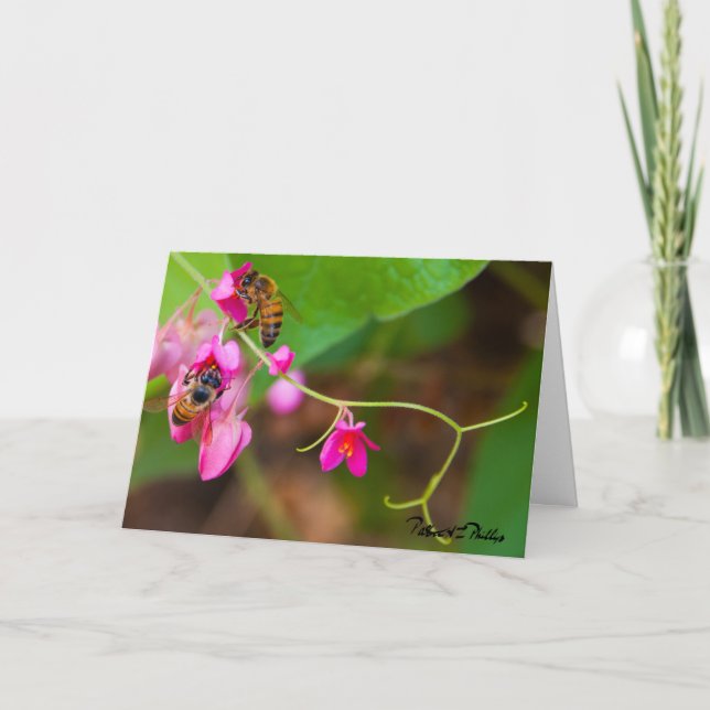Penser à vous abeilles Coral Vine Fleurs Modèle (Devant)