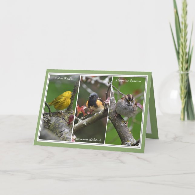Penser à vous Beaux oiseaux Carte de voeux (Devant)