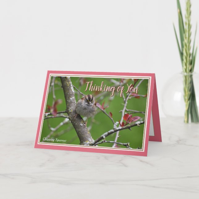 Penser à vous Belle carte de voeux d'oiseaux (Devant)