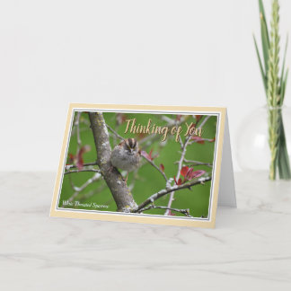Penser à vous Belle carte de voeux d'oiseaux