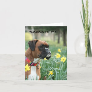 Penser à vous boxer chien carte de voeux