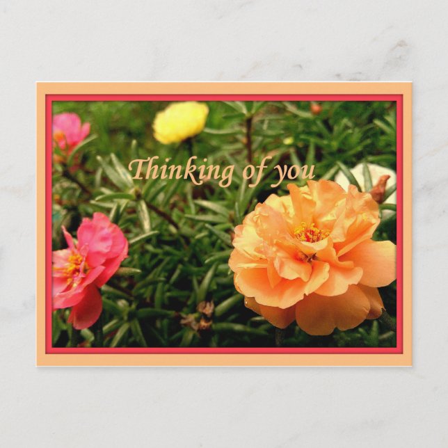 Penser à vous Cartes postales Fleurs 8 pack (Devant)