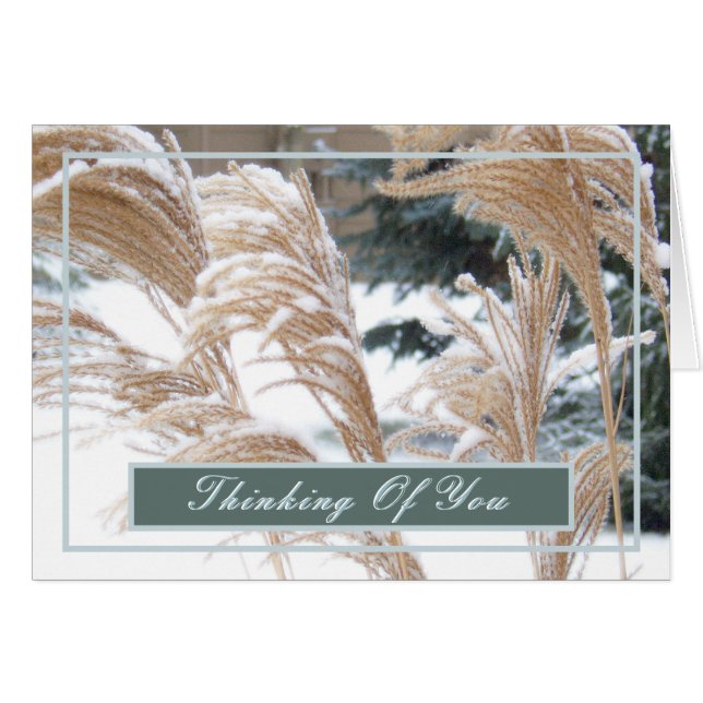PENSER À VOUS / LA NEIGE COUVERTE DE GRASS ORNAMEN (Devant Horizontal)