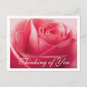 Penser à vous rose rose Greeting Carte postale