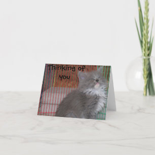 Penser drôle à votre carte