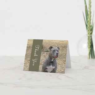 Penser Pitbull Merci carte de note