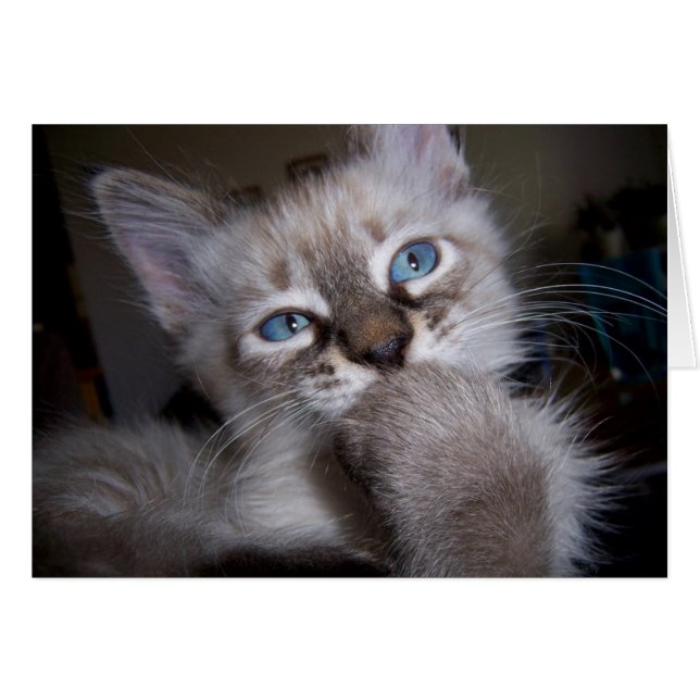 Penseur introspectif (Devant horizontal)