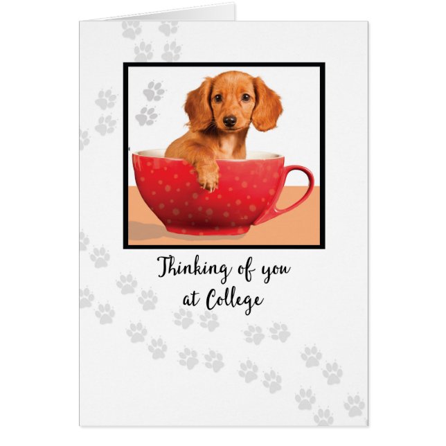 Pensez à vous à College Cute Dachsund Dog (Devant)