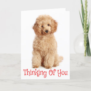 Pensez à vous Apricot Poodle Chien Carte
